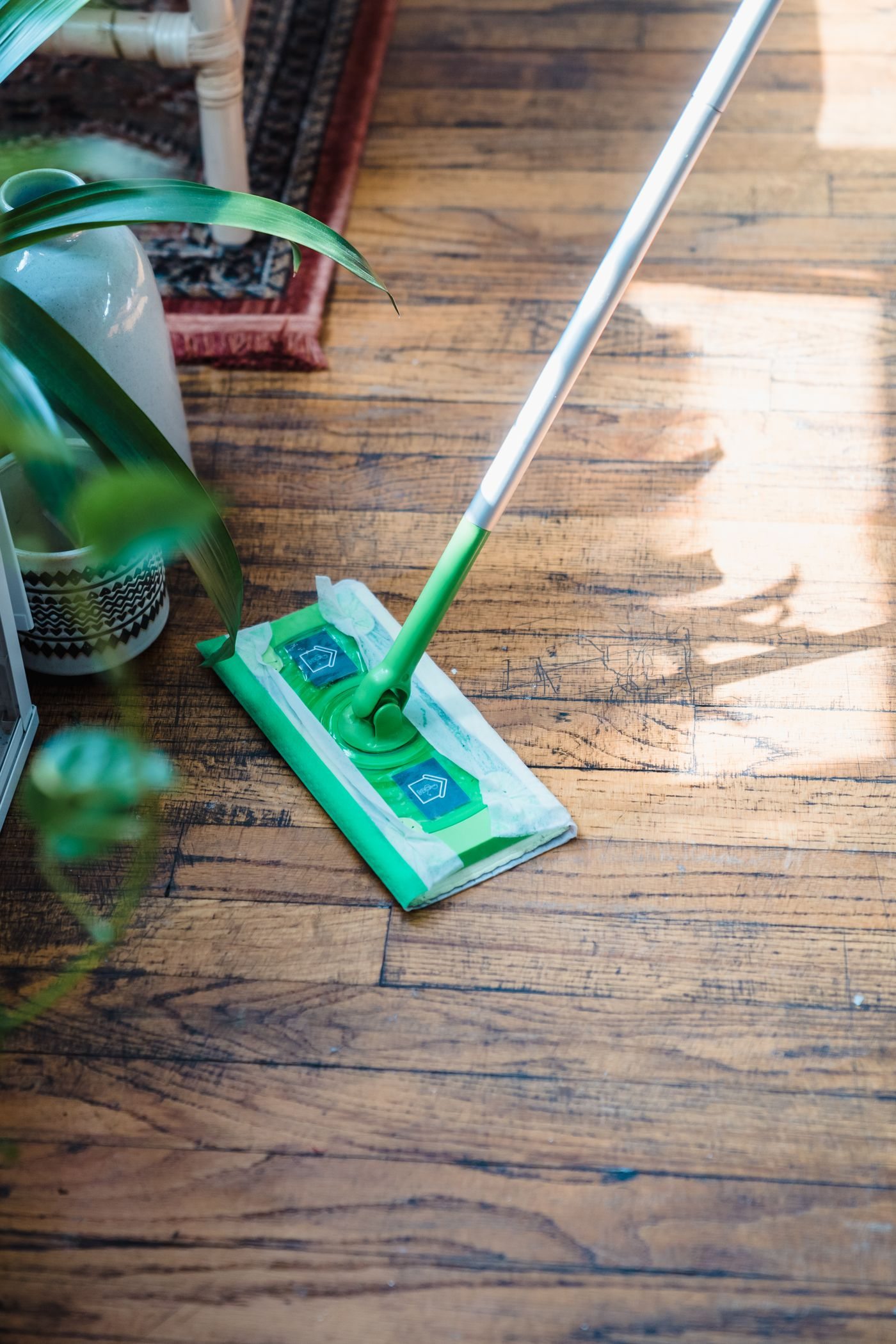En grön mopp på ett trägolv intill en krukväxt.